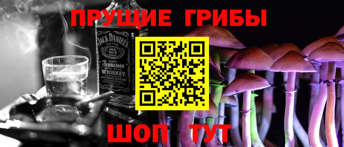 Псилоцибиновые грибы Psilocybe  Галлюциногенные грибы мицелий  Нижний Новгород  Вход с VPN 