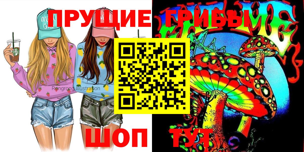 Галлюциногенные грибы Psilocybine cubensis Нижний Новгород